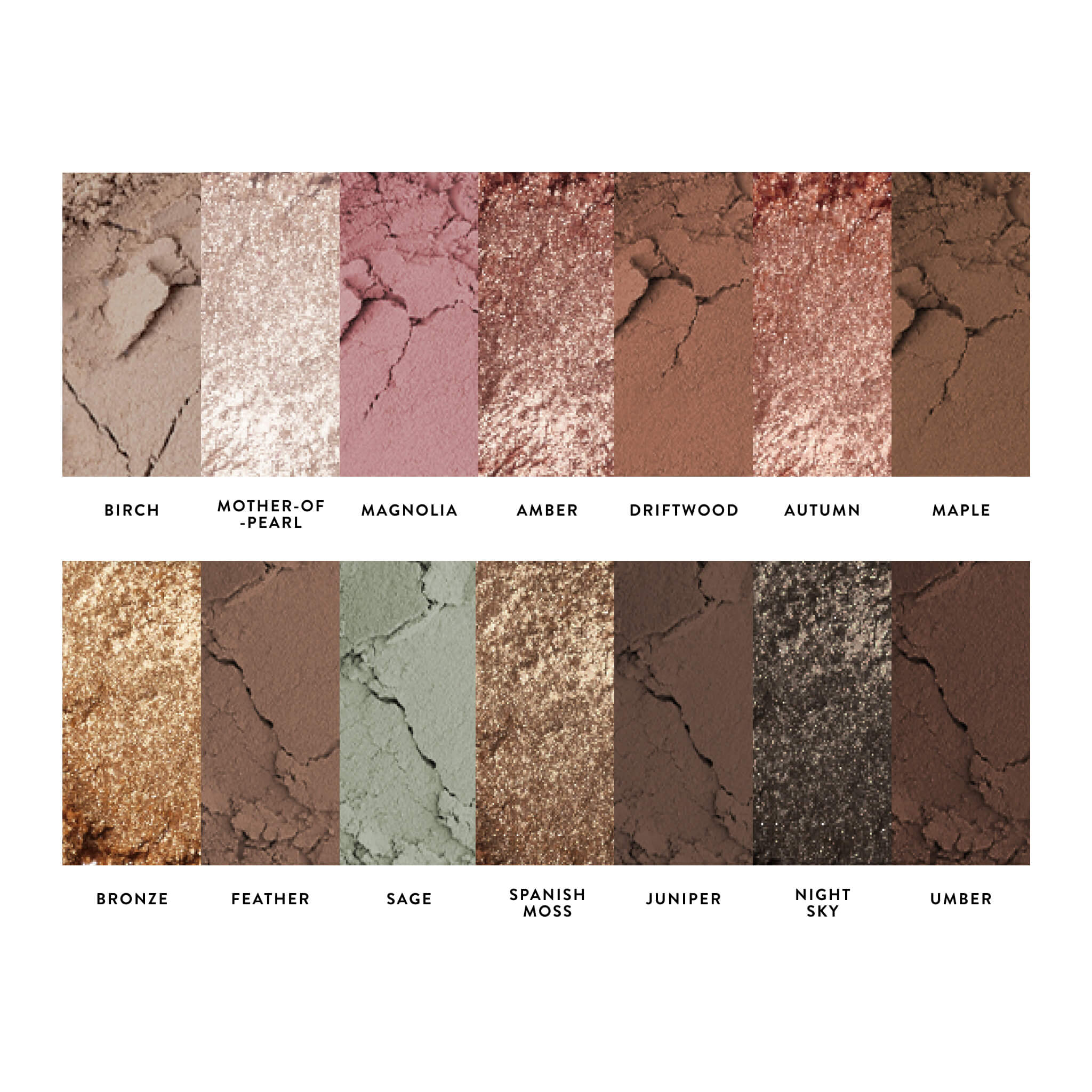 All Day Eye Kit (5 PC)